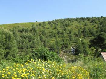 vente de terrain constructible à Septemes les vallons