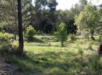 vente de terrain constructible a mimet